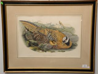 Appraisal: John Gould - hand colored lithograph Pair of Birds of