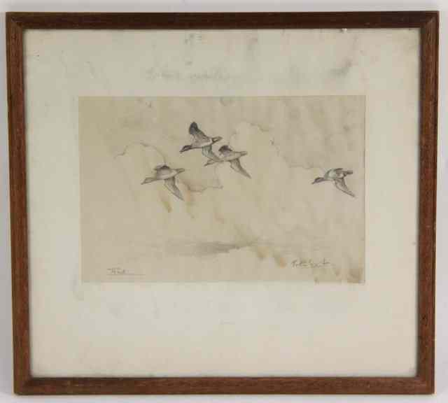 Appraisal: Peter Scott ARR Teal signed in pencil pencil drawing cm