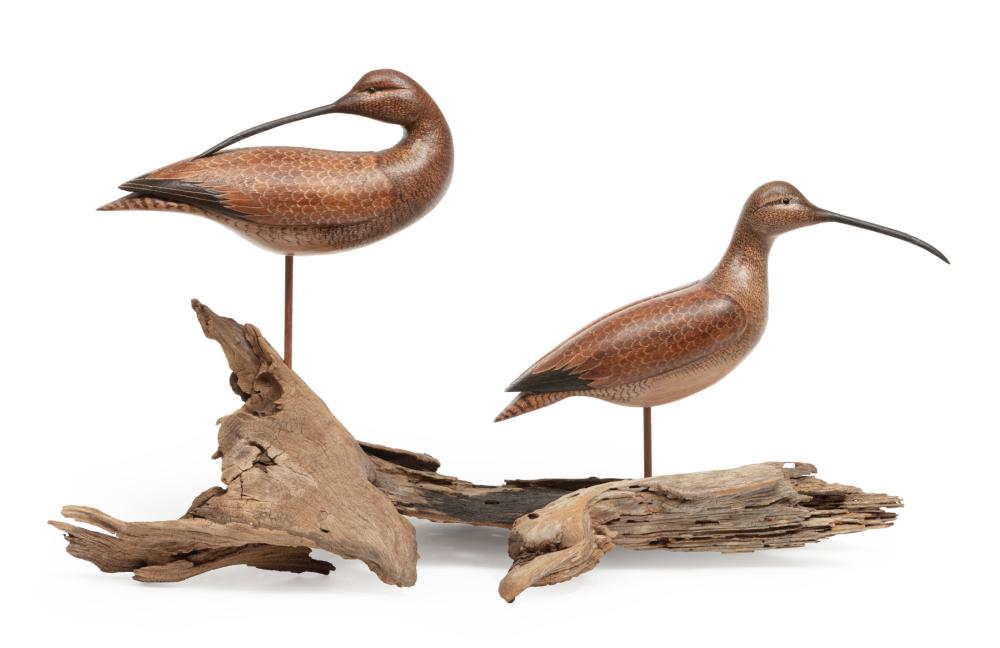 Appraisal: American Carved and Polychromed Grouping of Hudsonian Curlews signed George