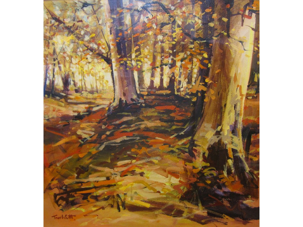 Appraisal: TOM WATT b Acrylic on canvas 'Killearn Autumn' signed recto