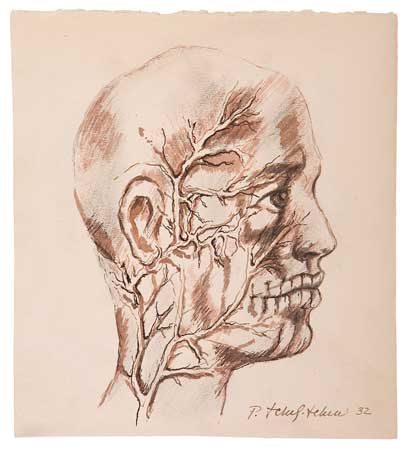 Appraisal: PAVEL TCHELITCHEW Anatomical Head Study Pen and reddish brown ink