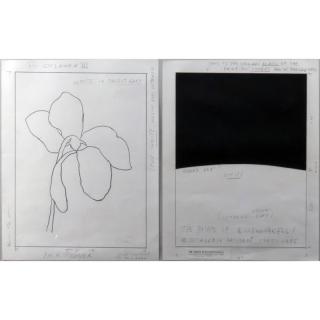 Appraisal: Ellsworth Kelly American - Graphite and collage on paper in