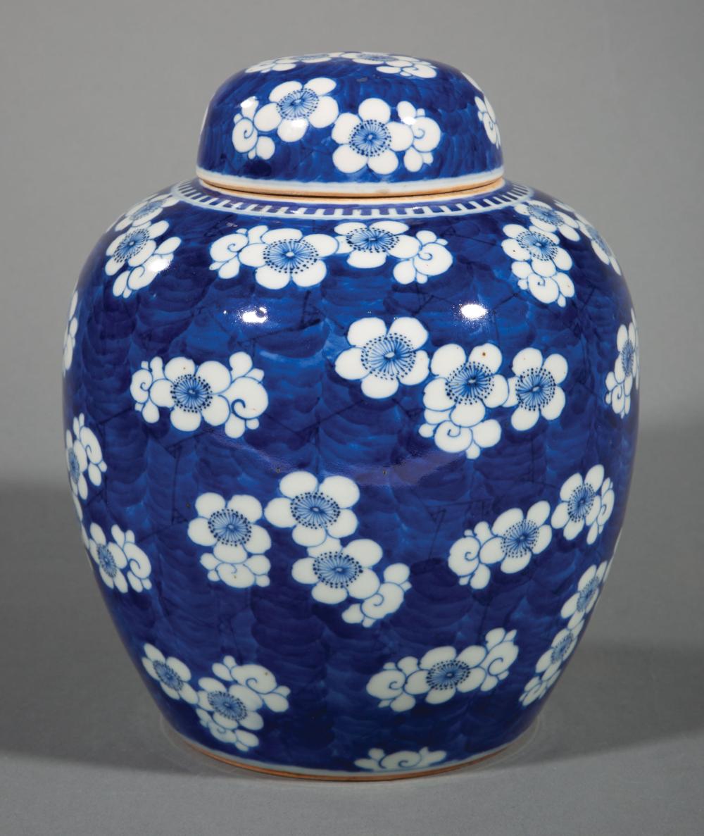 Appraisal: Chinese Blue and White Porcelain Covered Prunus Jar Qing Dynasty