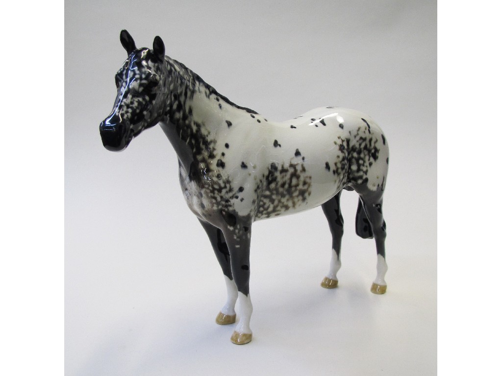 Appraisal: Beswick Appaloosa stallion colourway No