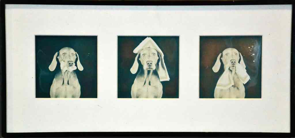 Appraisal: William Wegman Triptych PhotographsTtled '' Orderly Nurse Patient '' depicting