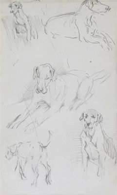 Appraisal: Follower of Sir Alfred Munnings Studies of hounds portrait studies