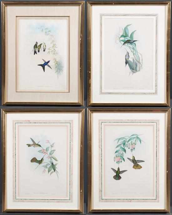 Appraisal: Gould Richter British th century Four hand colored lithographs from