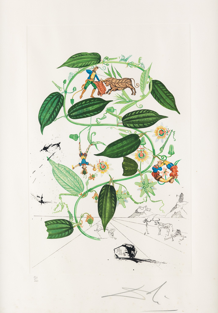 Appraisal: SALVADOR DAL Passiflora laurigera Color photolithograph with engraved remarqu s