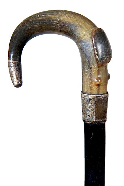 Appraisal: Twisted Horn Dress Cane Ca - A twisted horn handle