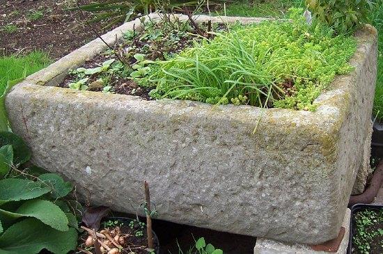 Appraisal: A plain rectangular stone trough cm x cm x