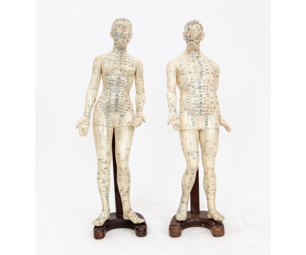 Appraisal: Male and female Chinese acupuncture body models made of flexible