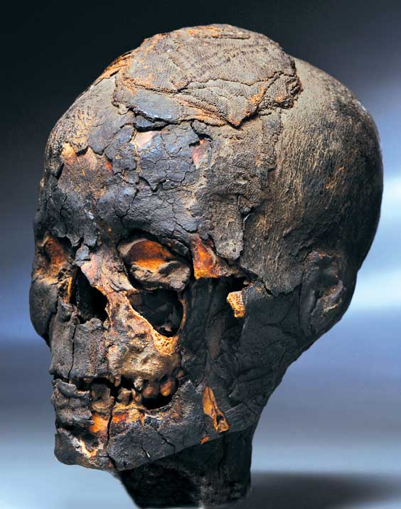 Appraisal: AN AUTHENTIC EGYPTIAN MUMMY HEAD The Western world has been