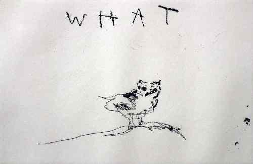 Appraisal: Tracey Emin born - Artists proof print - ''What'' ins