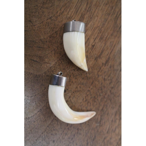 Appraisal: Two silver mounted polished bone teeth pendants