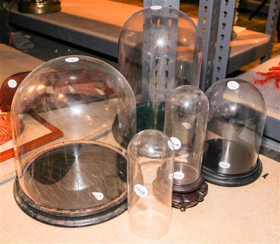 Appraisal: Sale Lot A Group of Glass Domes with Stands Height