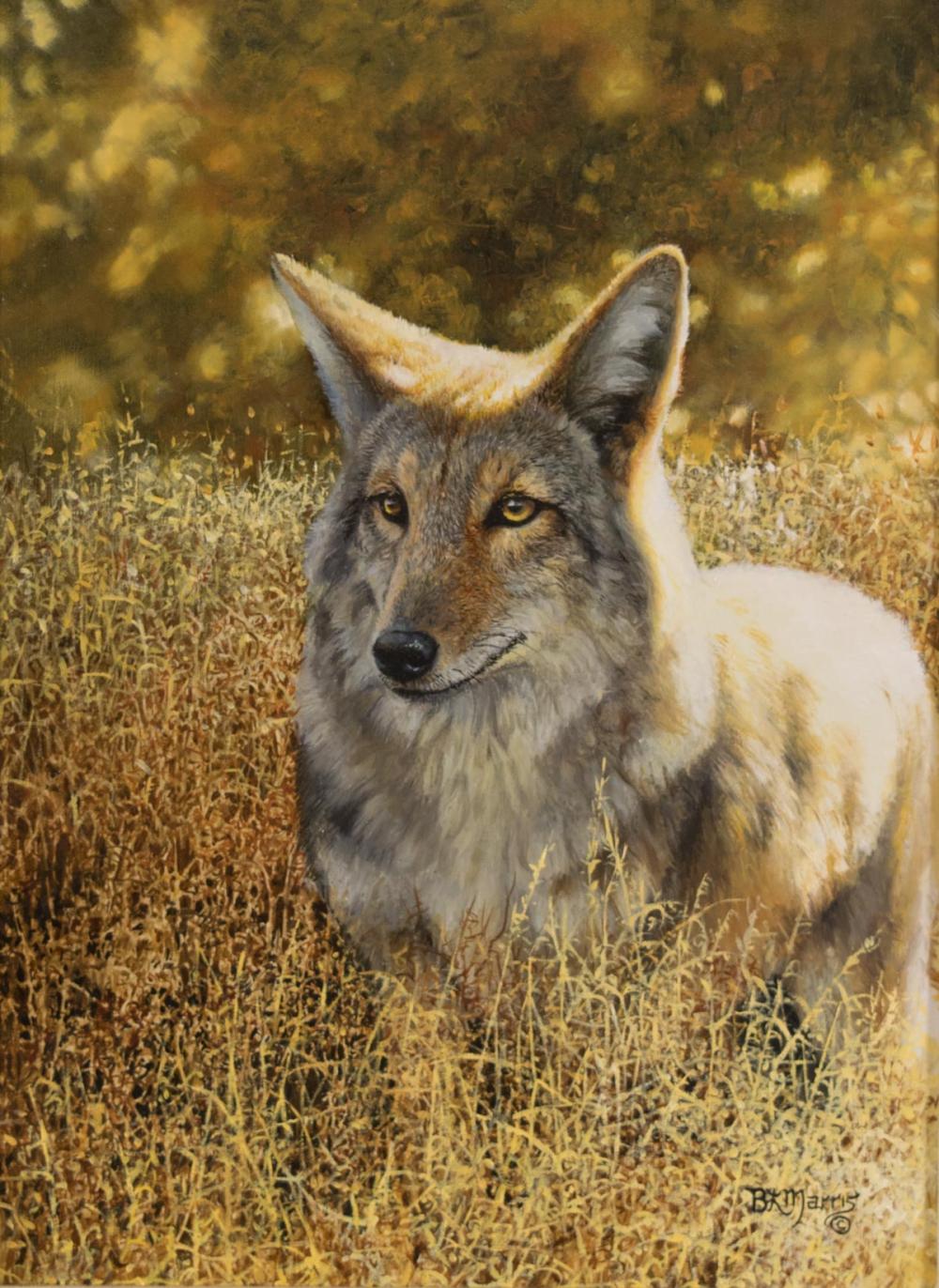 Appraisal: BONNIE MARRIS Michigan born oil on canvas coyote in a