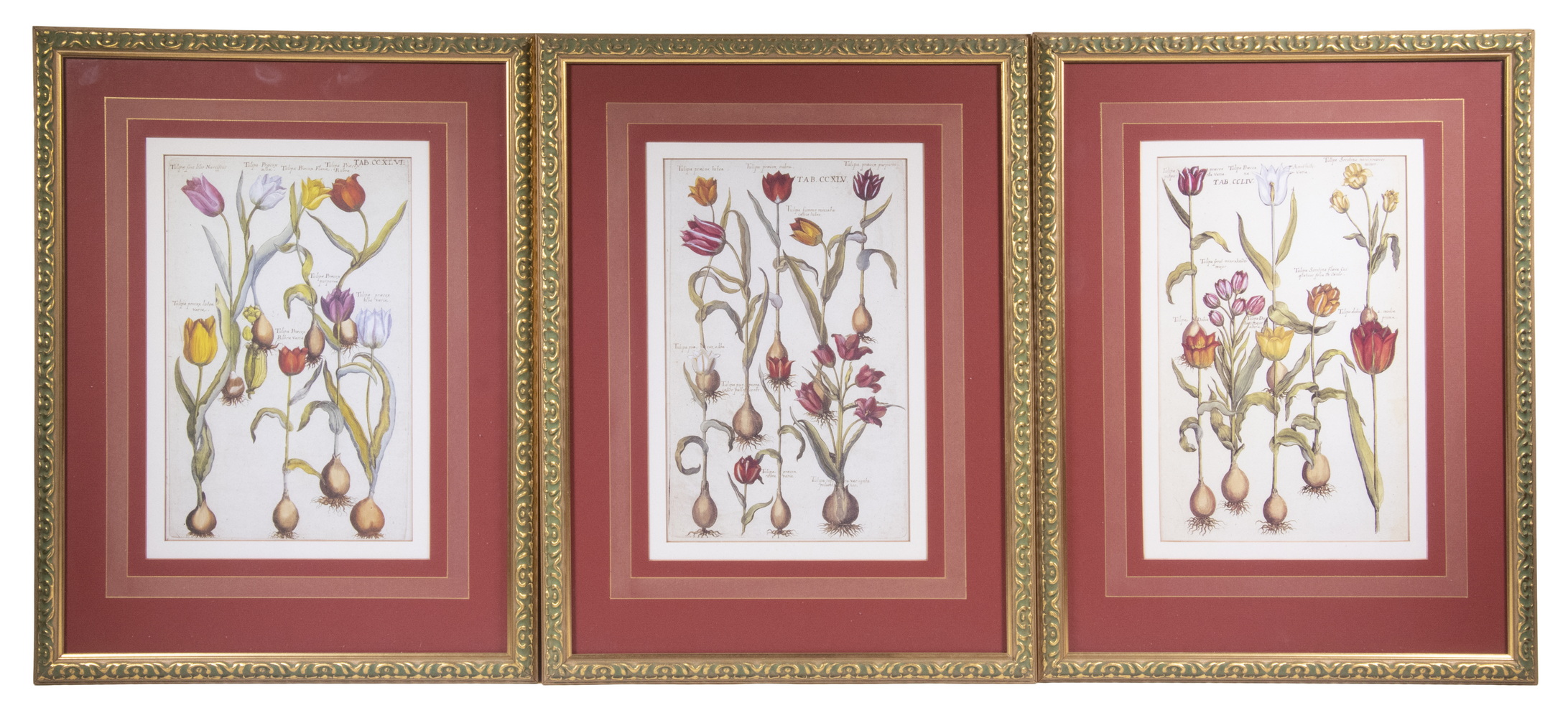 Appraisal: REPLICA PHOTOLITHO PRINTS OF TULIPS FRAMED Commercial prints after the