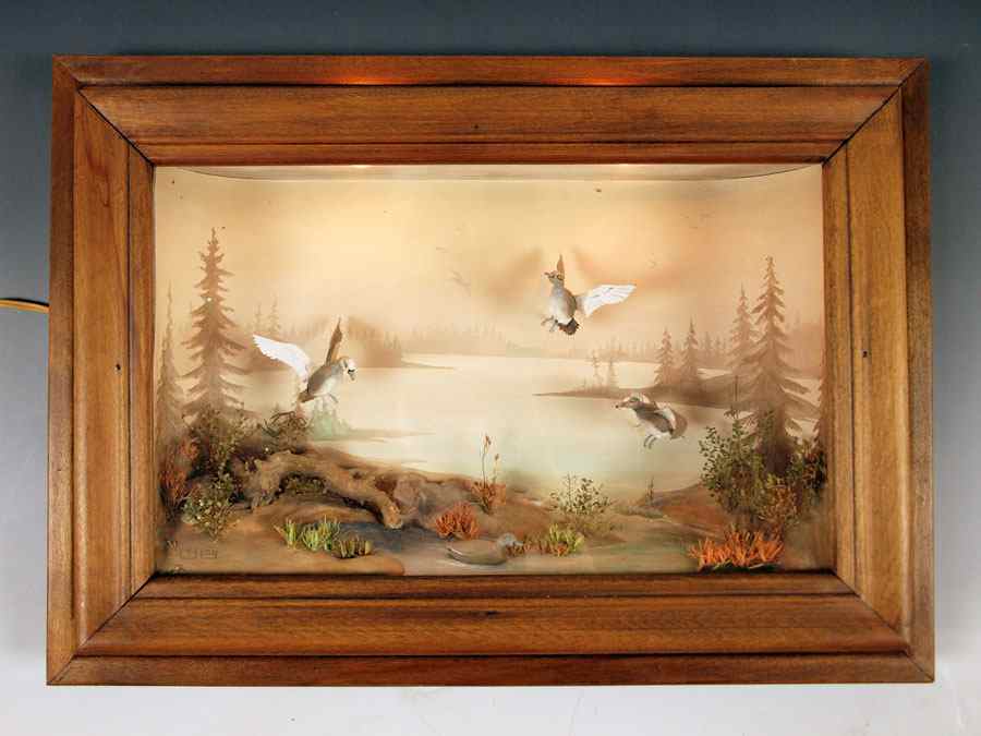 Appraisal: FOLK ART CARVED DUCK DIORAMA Shadowbox frame of ducks in