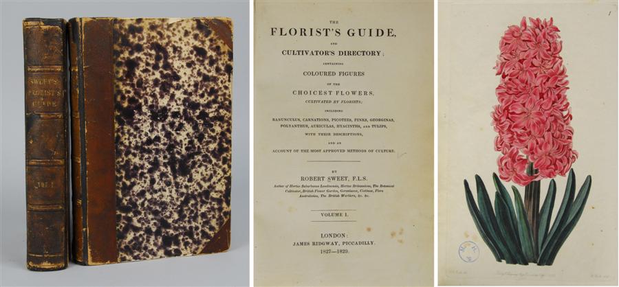 Appraisal: HORTICULTURAL BOOK SWEET ROBERT THE FLORIST'S GUIDE AND CULTIVATOR'S DIRECTORY