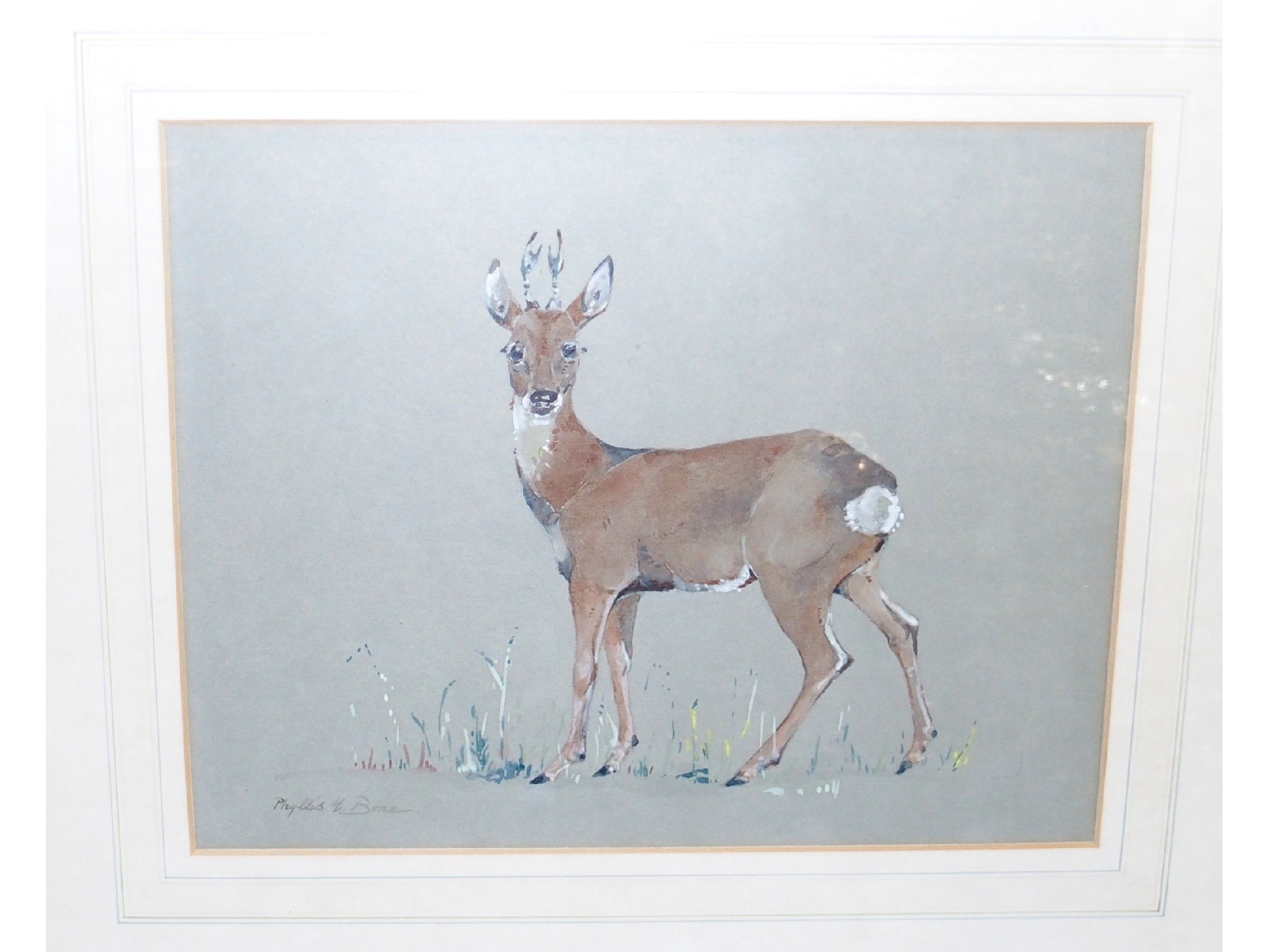 Appraisal: PHYLLIS MARY BONE Study of a Roe signed watercolour with