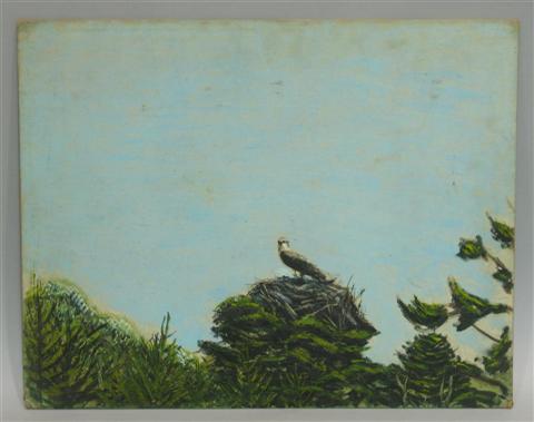 Appraisal: VICTOR DE PAUW AMERICAN - FISH HAWK Oil on canvas