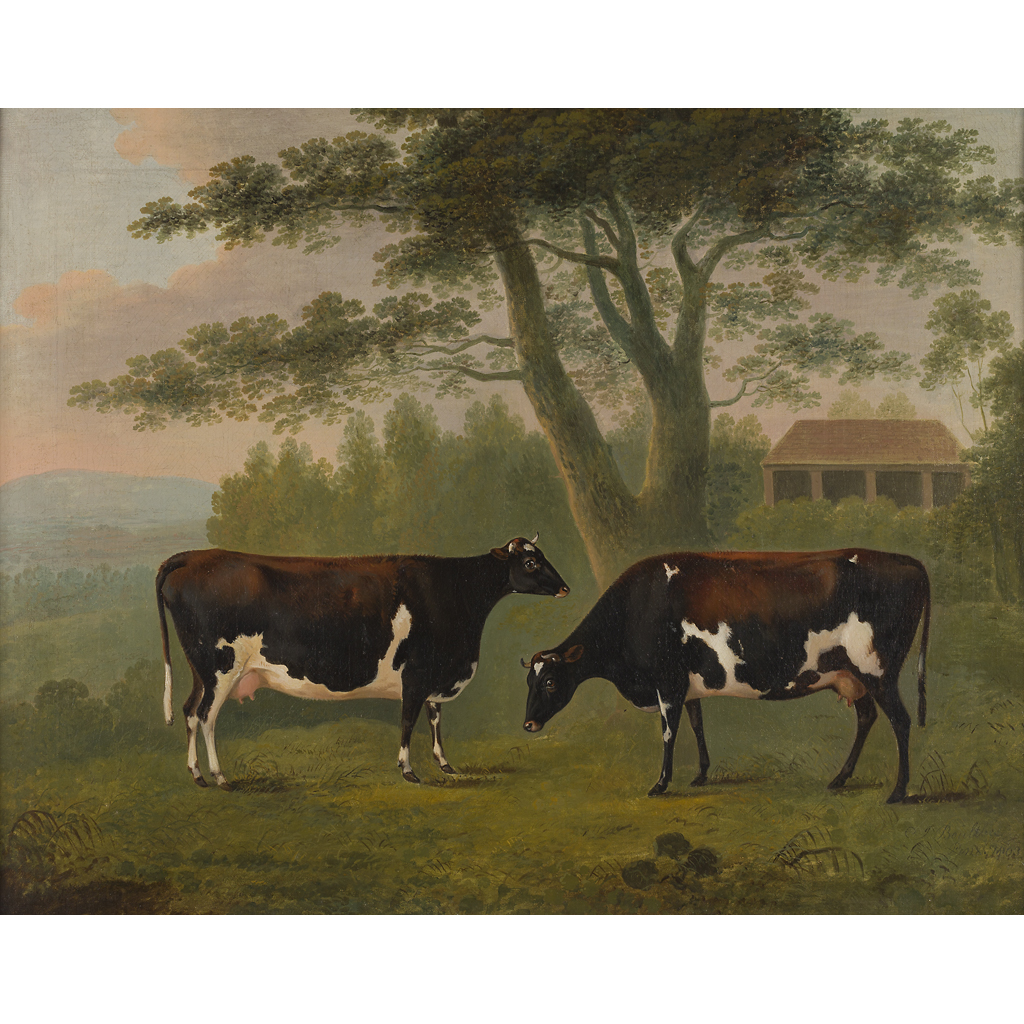 Appraisal: JOHN BOULTBEE BRITISH - STUDY OF TWO COWS Signed inscribed