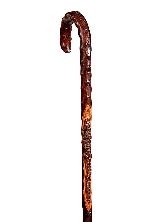 Appraisal: Jacksonville Alligator Cane Early th Century- A crook handle one-piece