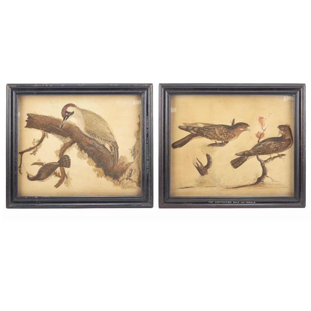 Appraisal: Two English Embossed Prints of Birds th Century One depicting