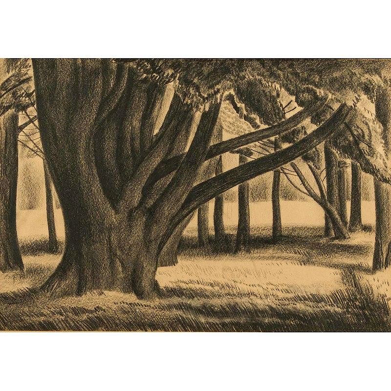 Appraisal: Paul Nyeland Charcoal Framed charcoal drawing of trees by Paul