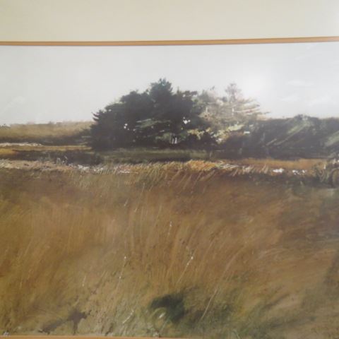 Appraisal: Andrew Wyeth Print marshland x