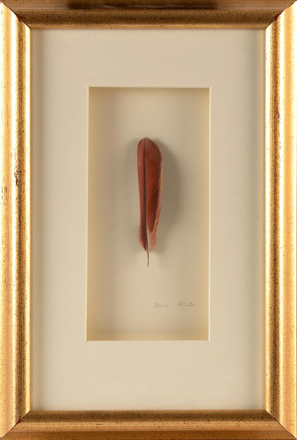 Appraisal: BILL J RICE CONNECTICUT B CARDINAL FEATHER CARVED AND PAINTED