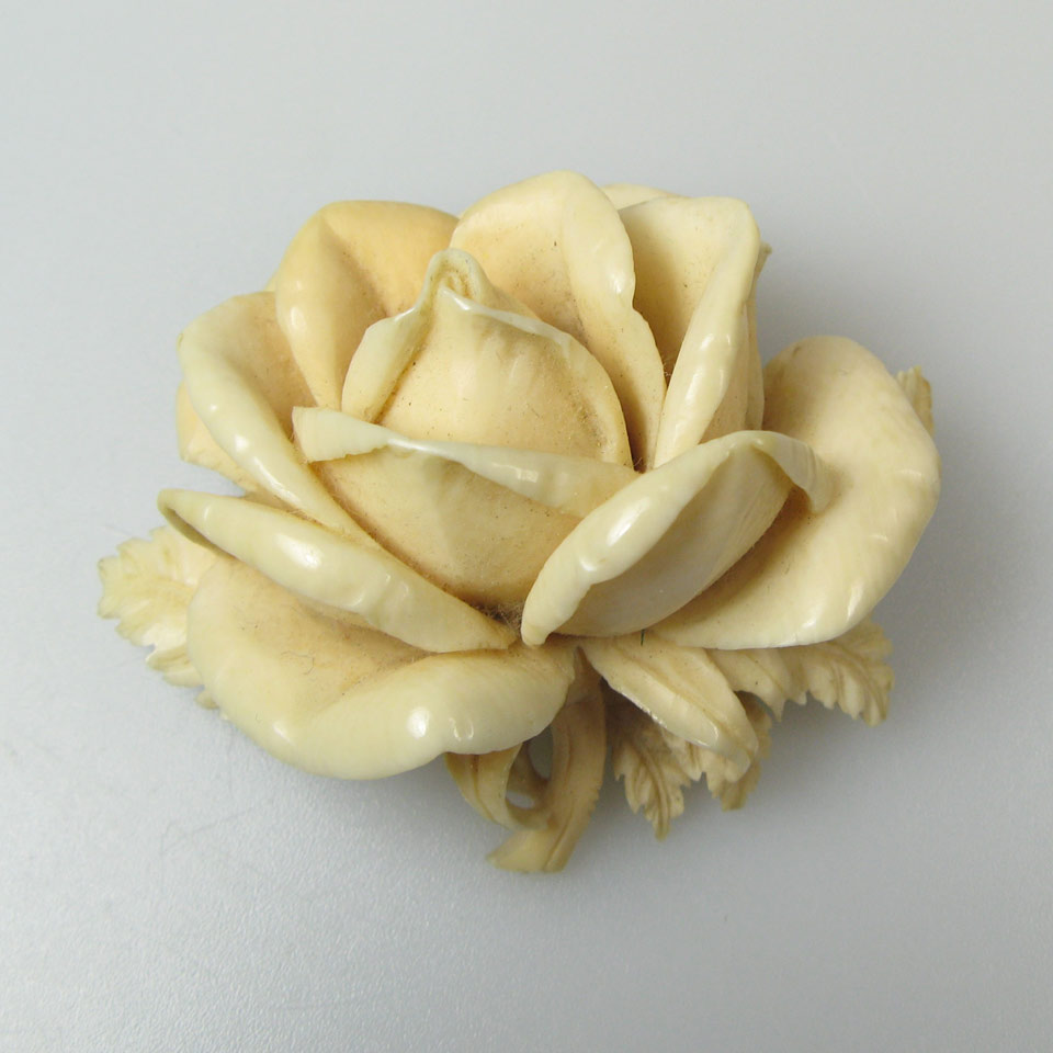 Appraisal: Carved Ivory Rose Brooch length in cm