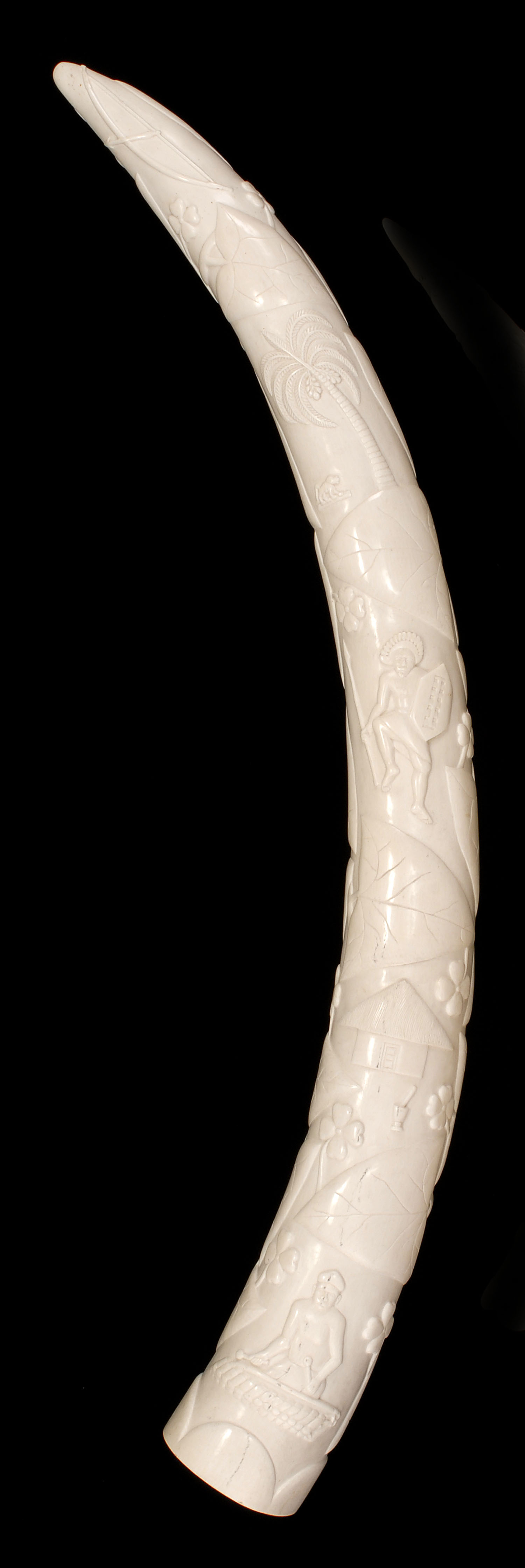 Appraisal: AFRICAN RELIEF-CARVED ELEPHANT TUSK th CenturyDepicts leaves trees figures etc