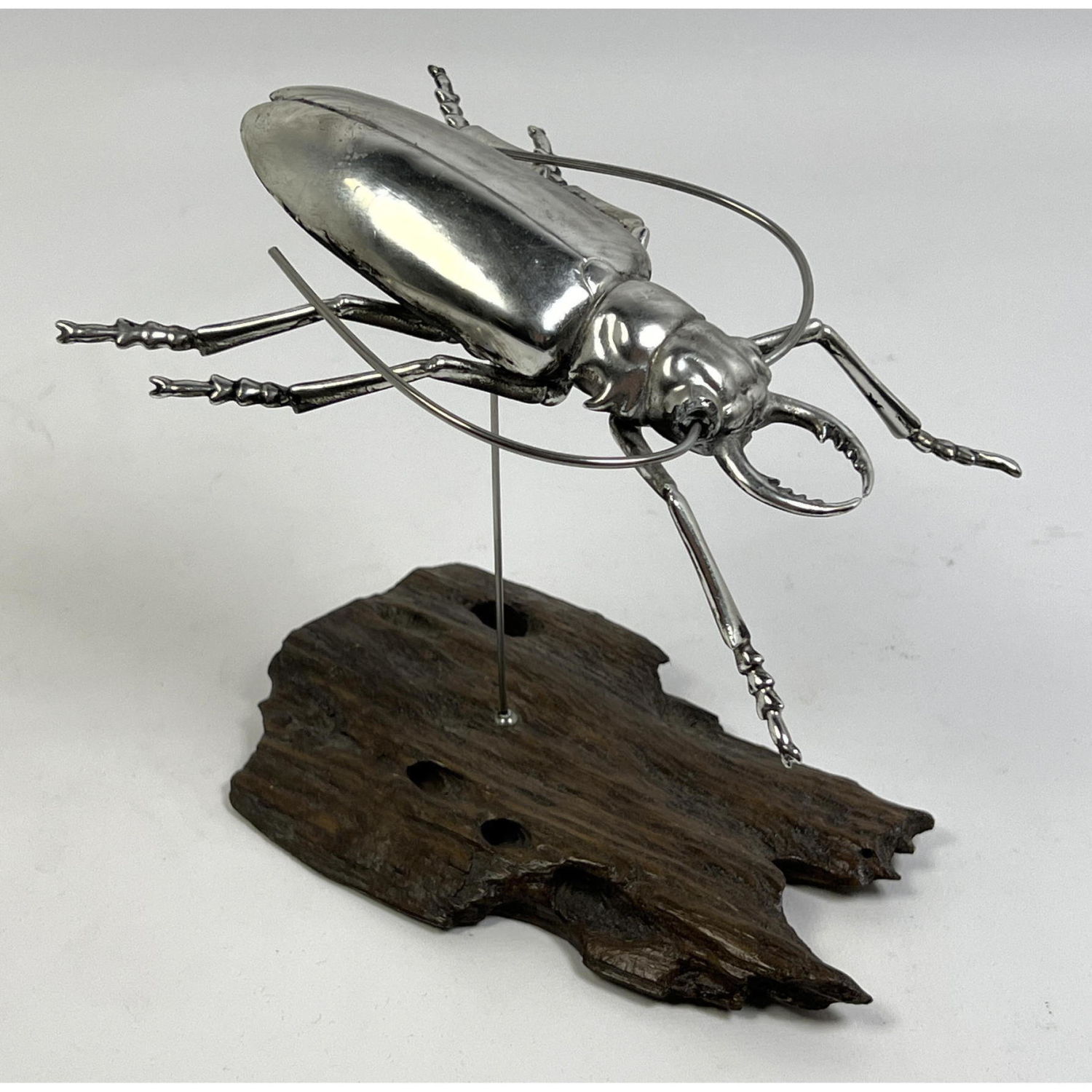 Appraisal: Silvered Beetle Sculpture on Natural Wood Stand Unsigned Dimensions H