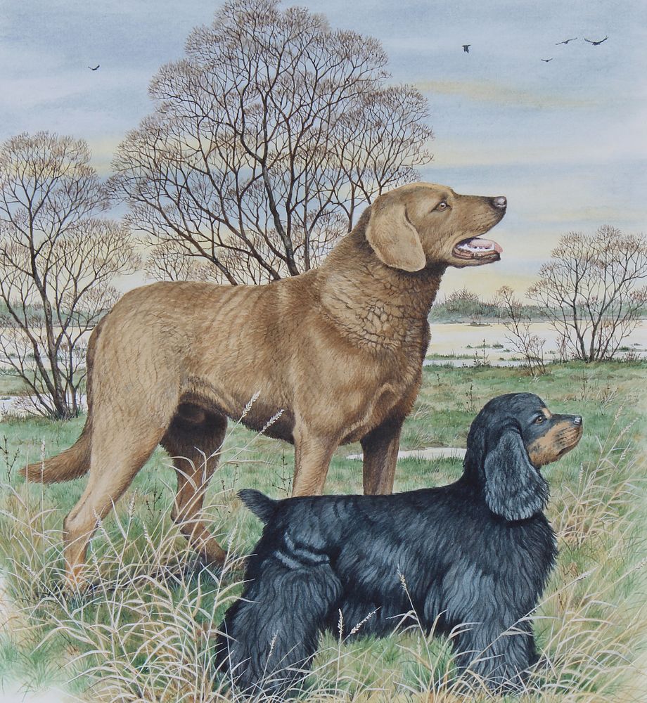 Appraisal: Peter Barrett B Retriever Spaniel W C Peter Barrett British