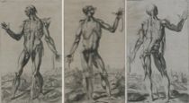 Appraisal: Andreas Vesalius Continental circa th Century Three Icones Anatomicae from