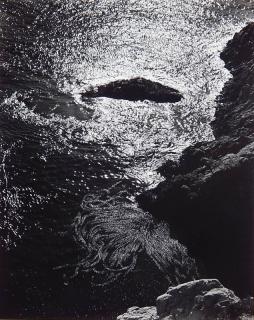 Appraisal: Edward Weston gelatin silver print Edward Weston American - -