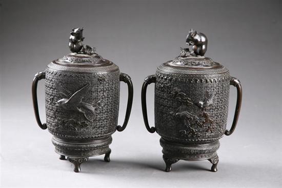 Appraisal: PAIR OF BRONZE VASES Japan late th-ealry th century Intricately