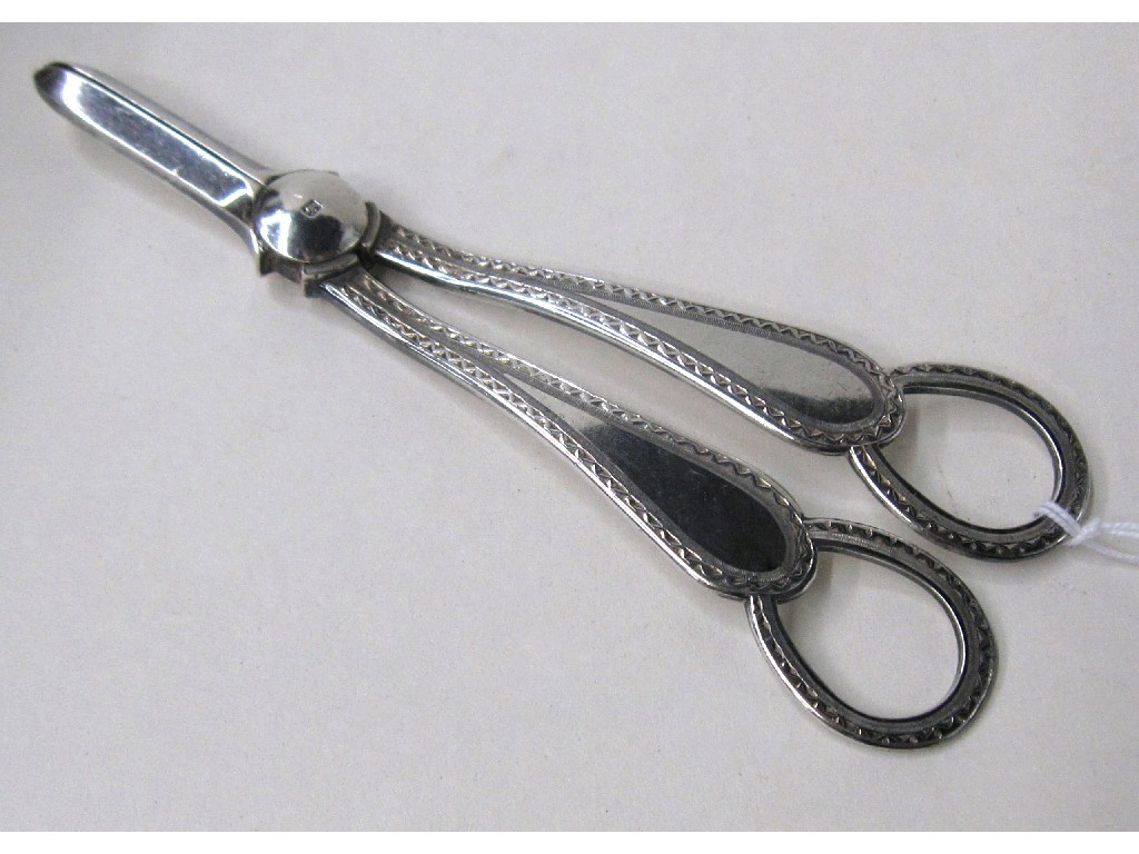 Appraisal: Pair of silver grape scissors Sheffield