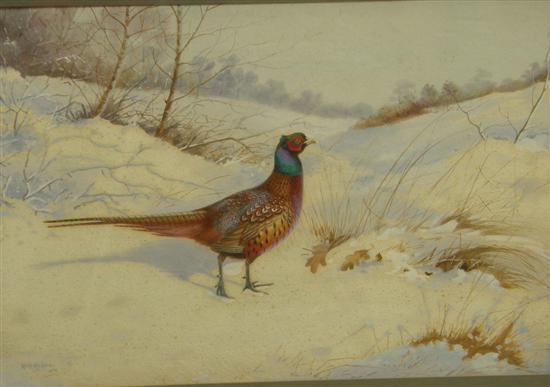 Appraisal: Philip Rickman watercolour pheasant in a winter landscape signed h