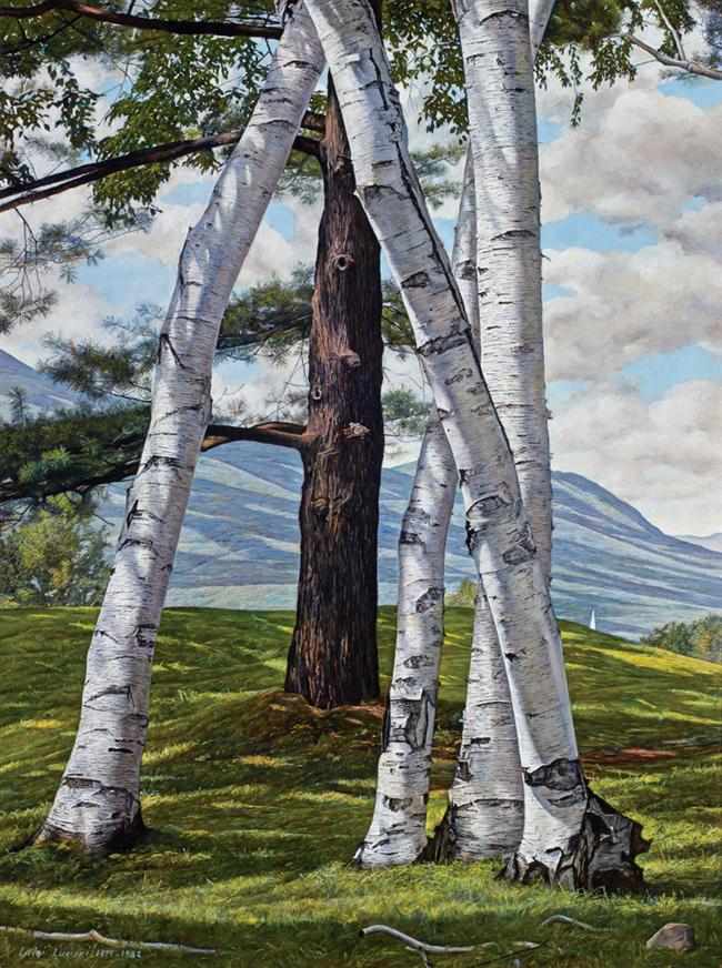 Appraisal: LUIGI LUCIONI American - ''The Pine through the Birches'' oil