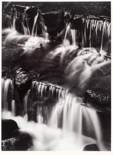 Appraisal: ANSEL ADAMS AMERICAN - Fern Spring Dusk Yosemite Valley California