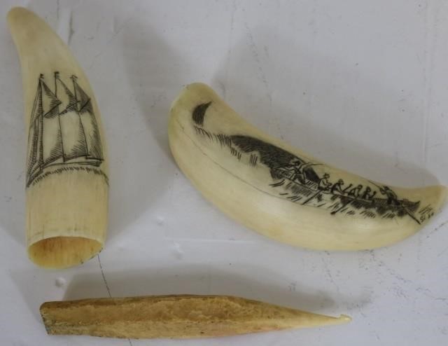 Appraisal: PC LOT TO INCLUDE SMALL TH C SCRIMSHAWWHALE'S TEETH ONE