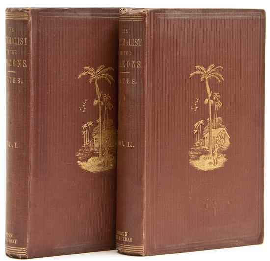 Appraisal: Bates Henry Walter The Naturalist on the River Amazons vol