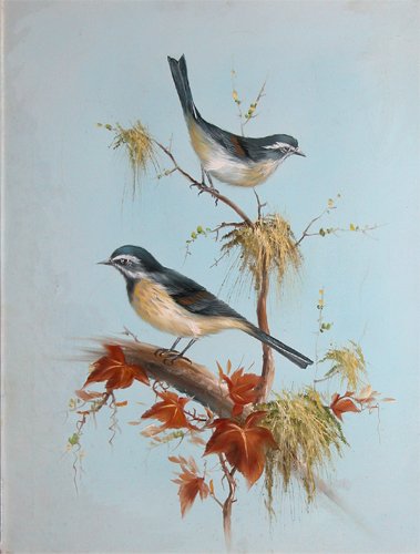 Appraisal: Two Birds on Tree with Nests Artist th Century British