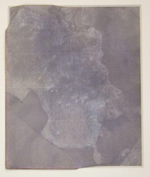 Appraisal: William Fox Talbot British - sun exposure of a butterfly