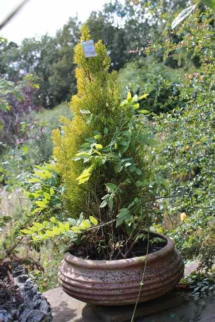 Appraisal: A SET OF THREE TERRACOTTA SHALLOW PLANTERS with ribbed decoration