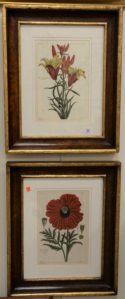 Appraisal: Six Piece Framed Group to include four digital botanical prints