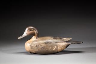 Appraisal: Pintail Drake by Jess Heisler Pintail DrakeJess Heisler - Burlington