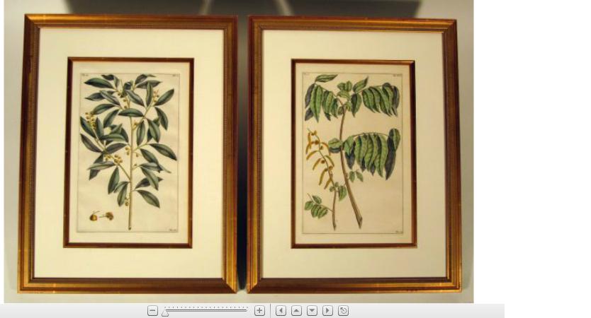 Appraisal: Eight hand colored engravings of botanicalspierre bouchoz paris